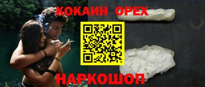 индика Камышлов