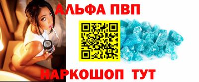 индика Камышлов