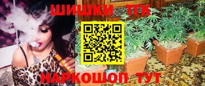 индика Камышлов
