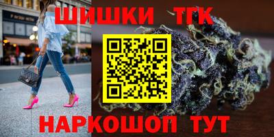 индика Камышлов
