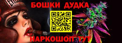 индика Камышлов