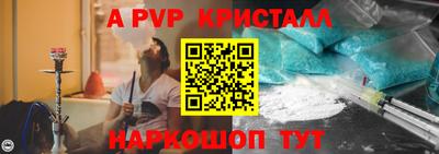 индика Камышлов