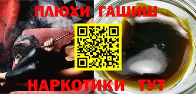 индика Камышлов