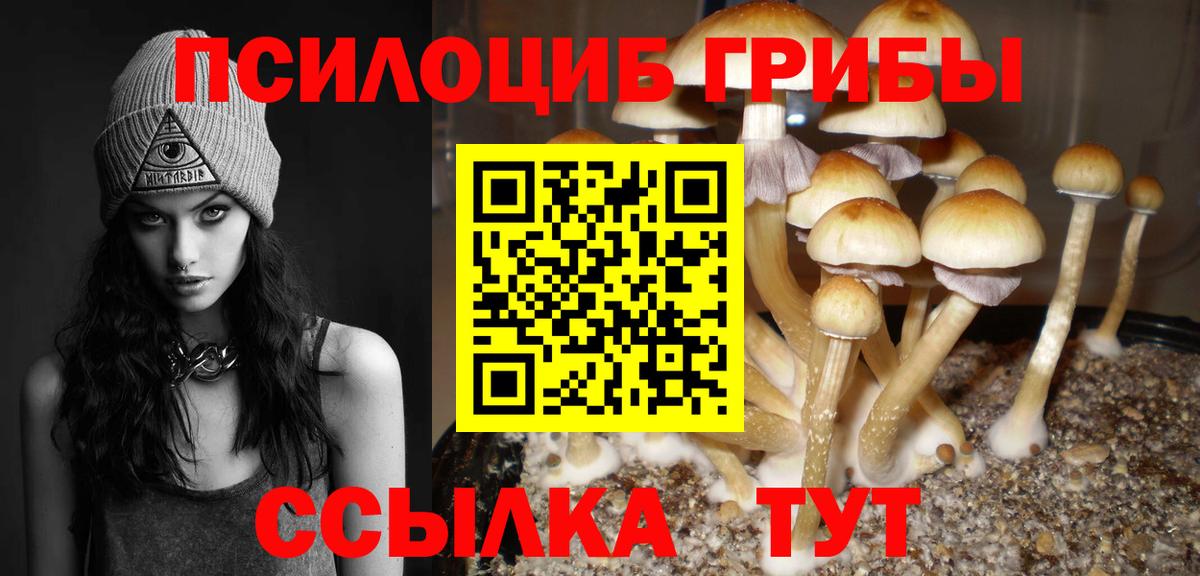 Псилоцибиновые грибы прущие грибы  Псилоцибиновые грибы MAGIC MUSHROOMS  Верхняя Салда  Вход с VPN 